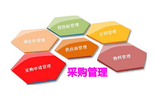 政府采購網(wǎng)與相關(guān)崗位職責(zé)及工程造價(jià)咨詢業(yè)務(wù)概述